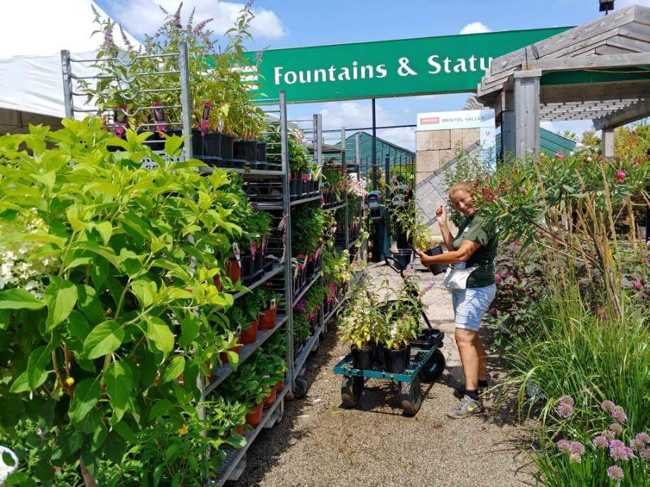 A Touch of Green Team Member in the Garden Center