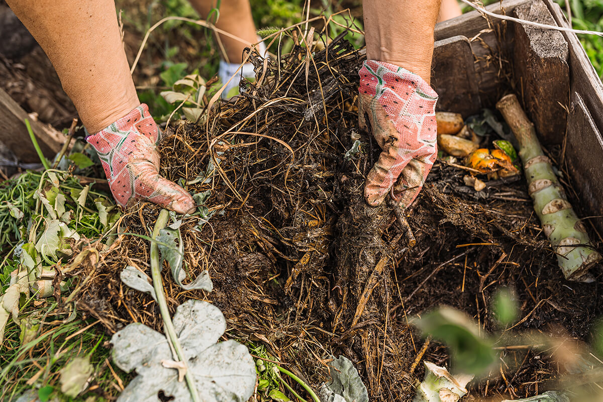 Hands holding compost