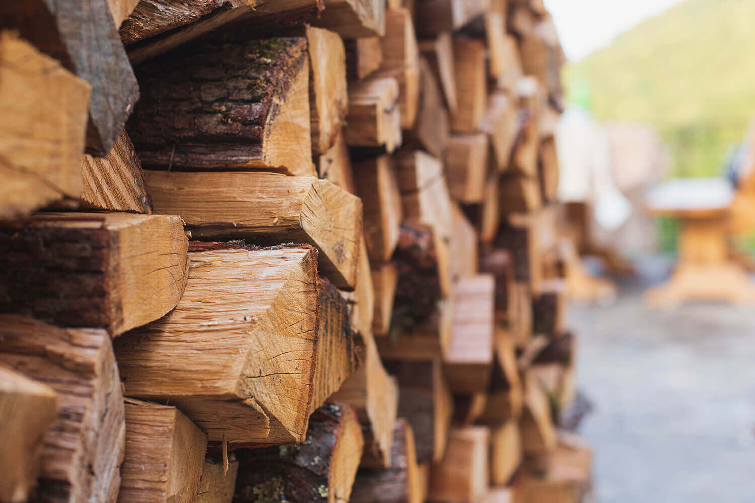 Stacked firewood