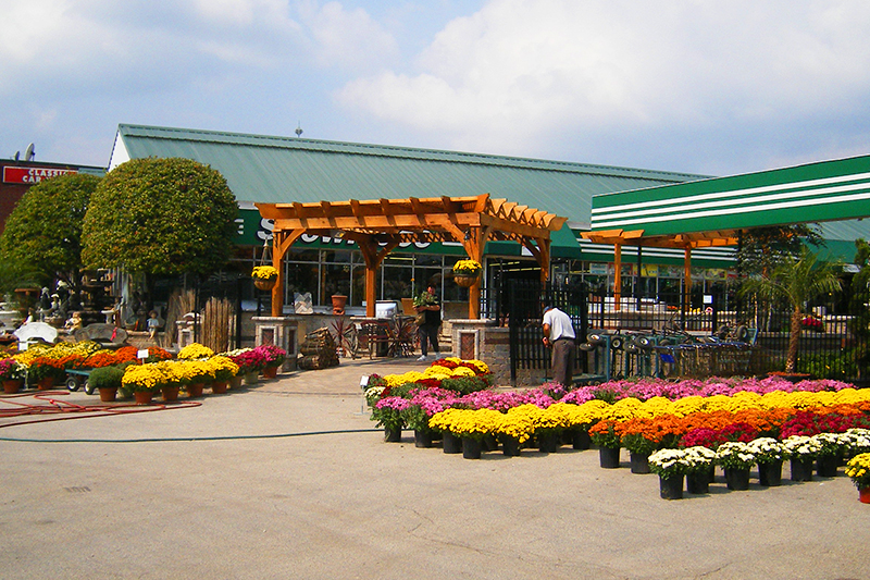 Flowers at A Touch of Green's Garden Center